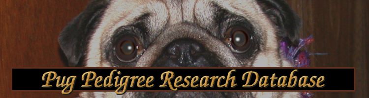 pug pedigree research